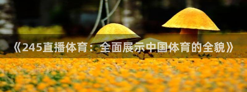 《245直播体育：全面展示中国体育的全貌》