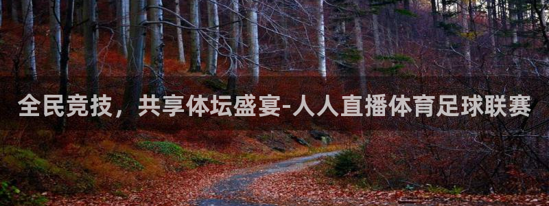 全民竞技，共享体坛盛宴-人人直播体育足球联赛