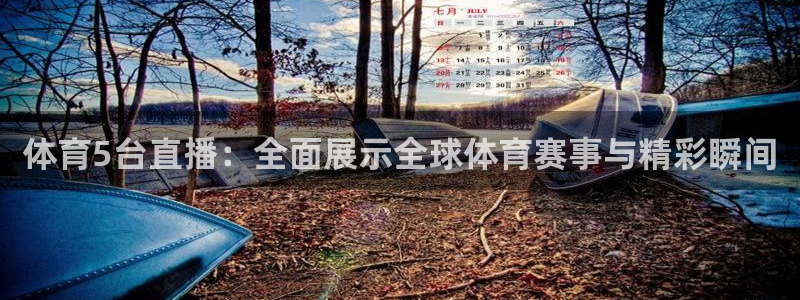体育5台直播：全面展示全球体育赛事与精彩瞬间