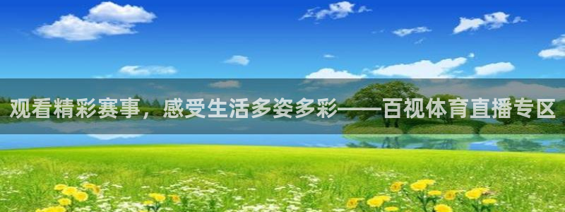 观看精彩赛事，感受生活多姿多彩——百视体育直播专区