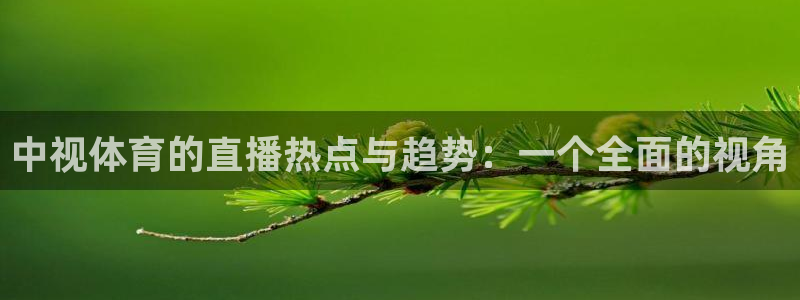 中视体育的直播热点与趋势：一个全面的视角