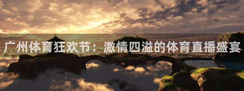 广州体育狂欢节：激情四溢的体育直播盛宴