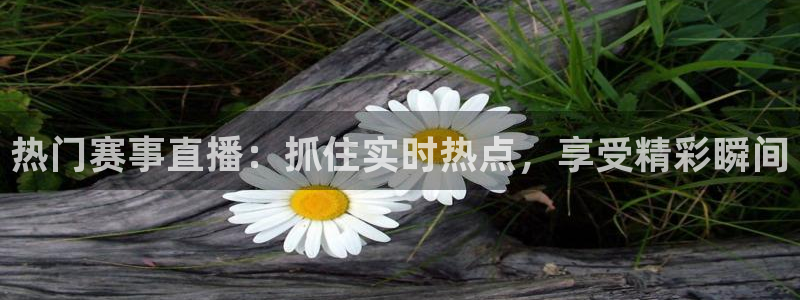 热门赛事直播：抓住实时热点，享受精彩瞬间