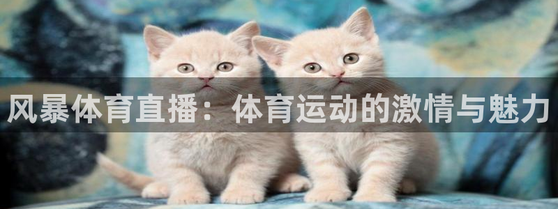 风暴体育直播：体育运动的激情与魅力