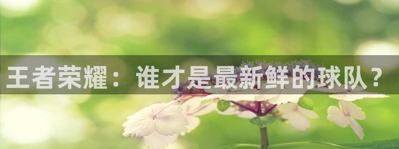 王者荣耀：谁才是最新鲜的球队？