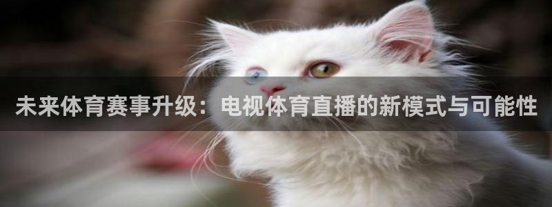 未来体育赛事升级：电视体育直播的新模式与可能性