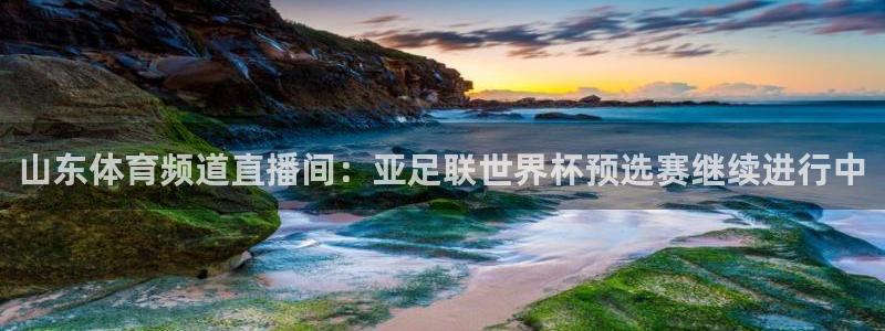 山东体育频道直播间：亚足联世界杯预选赛继续进行中