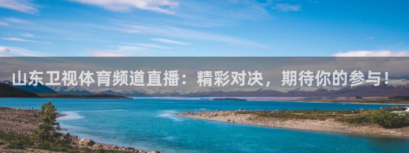 山东卫视体育频道直播：精彩对决，期待你的参与！