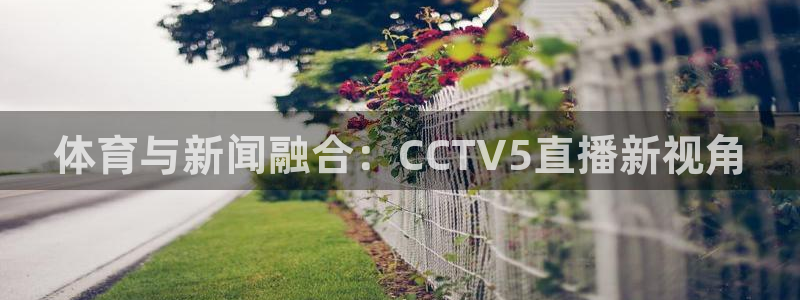 体育与新闻融合：CCTV5直播新视角