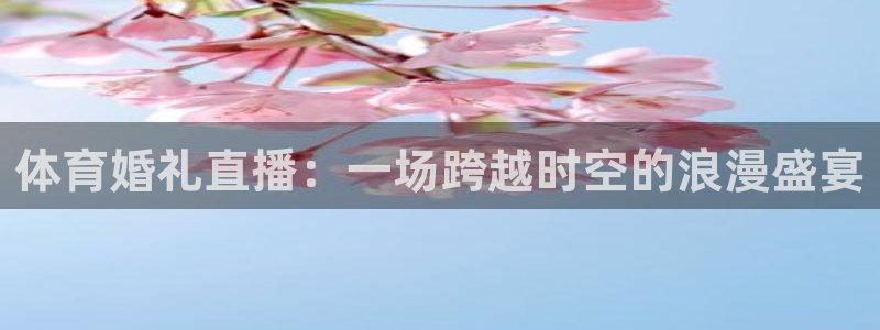 体育婚礼直播：一场跨越时空的浪漫盛宴