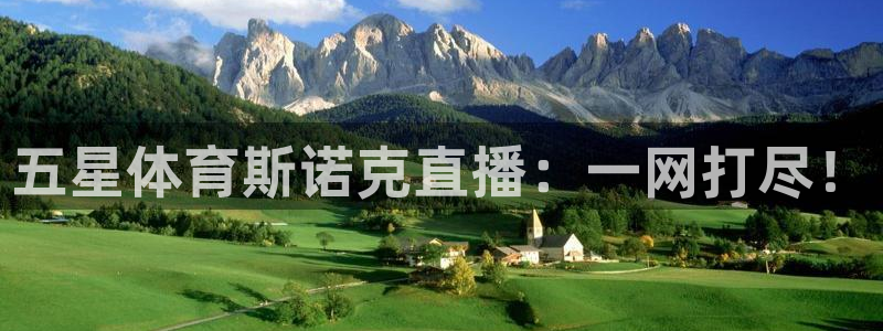 五星体育斯诺克直播：一网打尽！