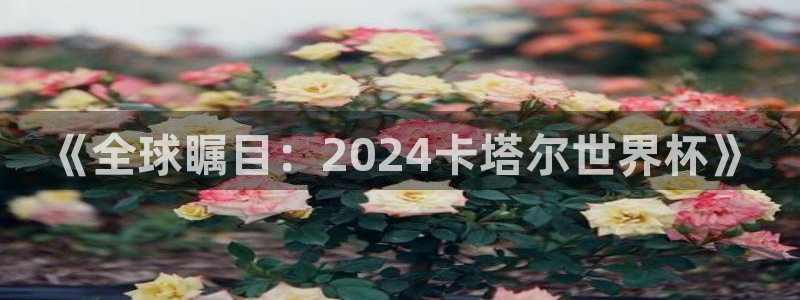 《全球瞩目：2024卡塔尔世界杯》