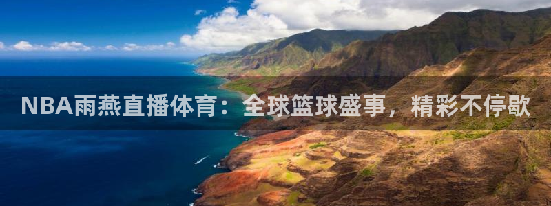 NBA雨燕直播体育：全球篮球盛事，精彩不停歇