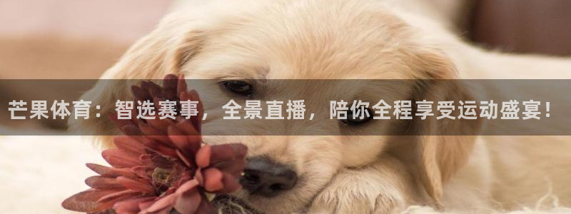 芒果体育：智选赛事，全景直播，陪你全程享受运动盛宴！