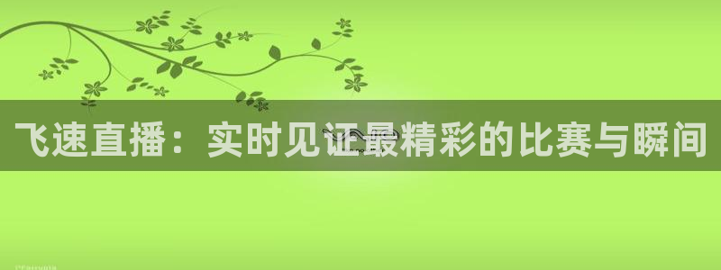 飞速直播：实时见证最精彩的比赛与瞬间