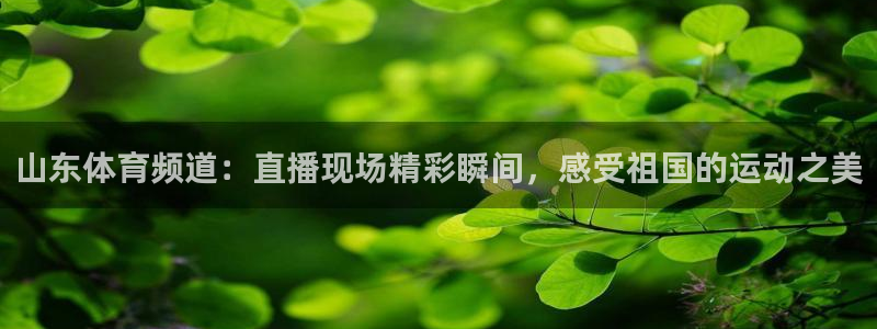 山东体育频道：直播现场精彩瞬间，感受祖国的运动之美