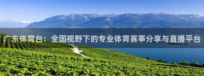 广东体育台：全国视野下的专业体育赛事分享与直播平台