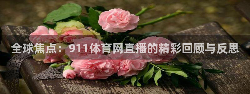 全球焦点：911体育网直播的精彩回顾与反思
